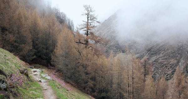 Nvidia GTC 2026: $1 Biljoen Orders, Groq 3 LPU en OpenClaw